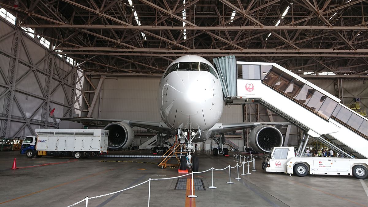 JAL エアバス A350型機の全容