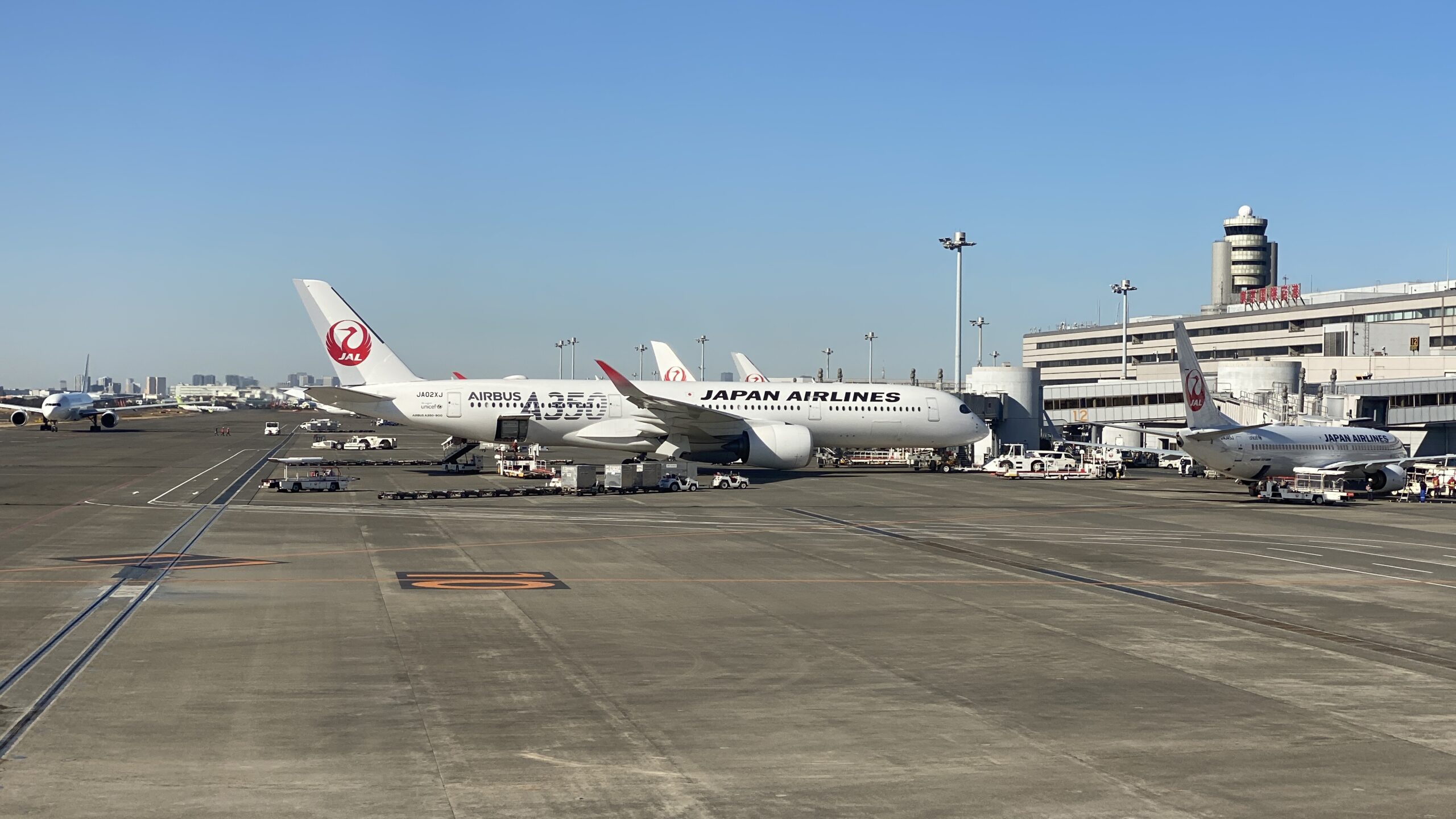 エアバスA350-900型機 JL904 沖縄(那覇)～羽田 普通席 搭乗記 19JAN21