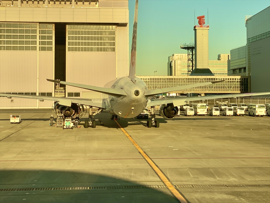 ボーイングB787-800型機 JL325 羽田～福岡 ファーストクラス 搭乗記 20JAN21