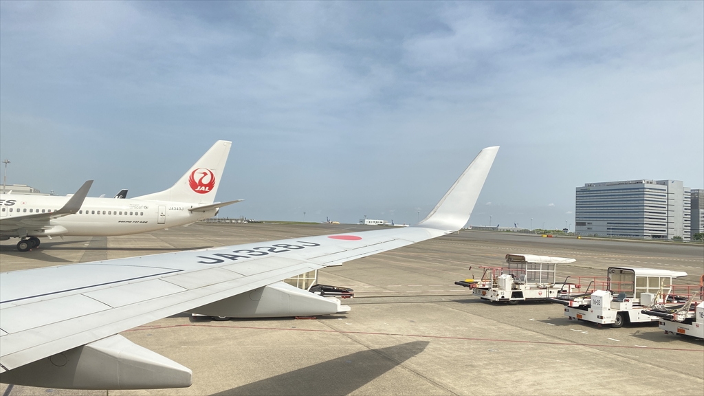 ボーイングB737-800型機 JL434 松山～羽田 普通席 搭乗記 14MAY21