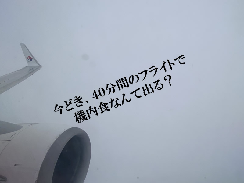 MH614機内食サムネ