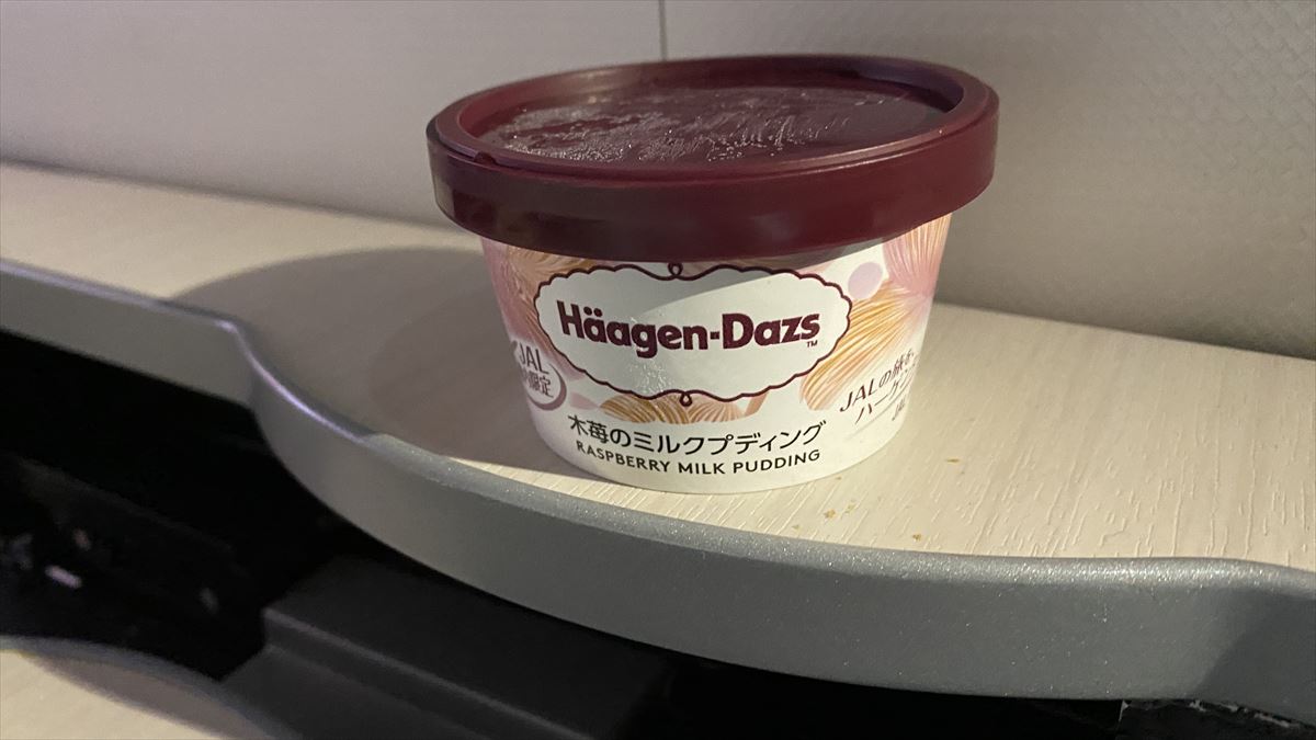 【機内食レポ】日本人なら機内でもカレーだね。JALビジネスクラスのアラカルト機内食 23年6月