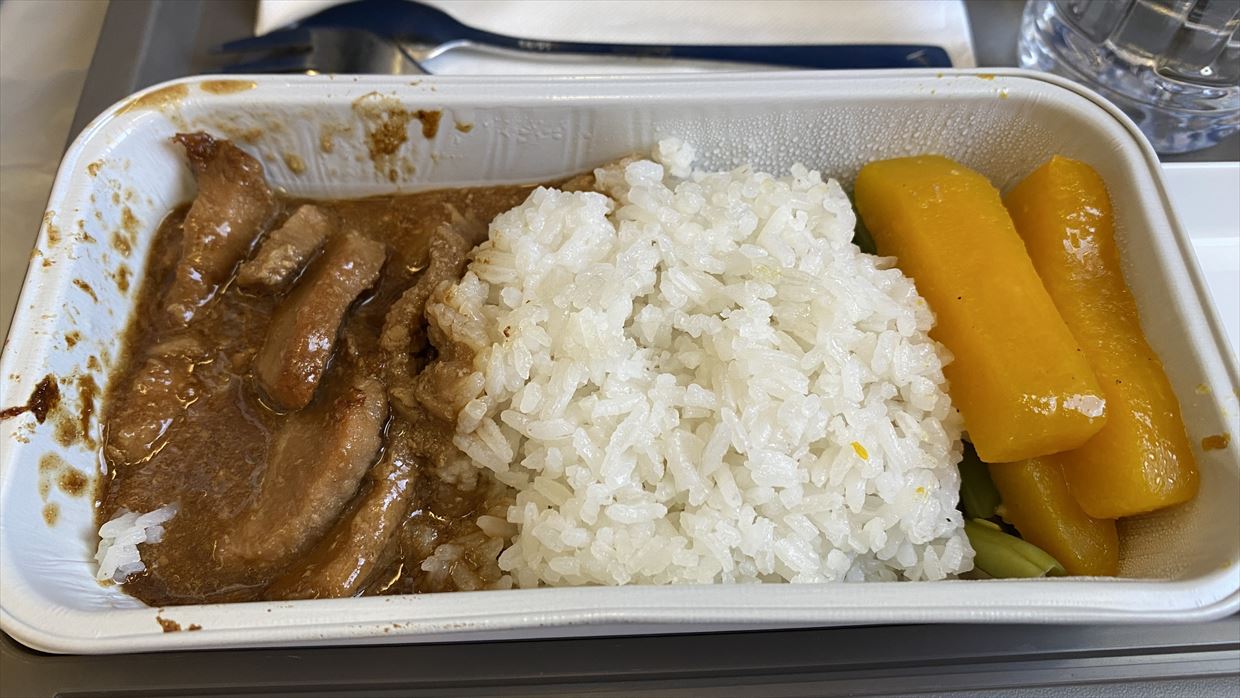 【機内食レポ】残念なレガシーキャリアの機内食 DEC23