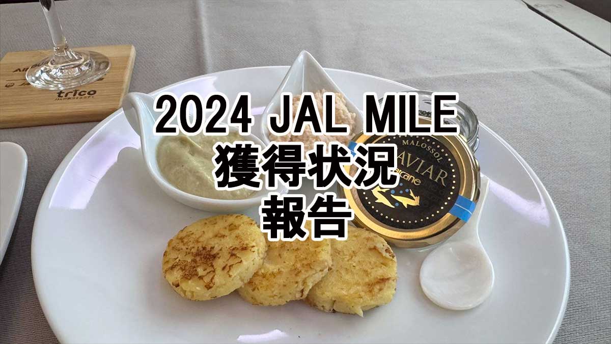 2024-JALマイル獲得状況