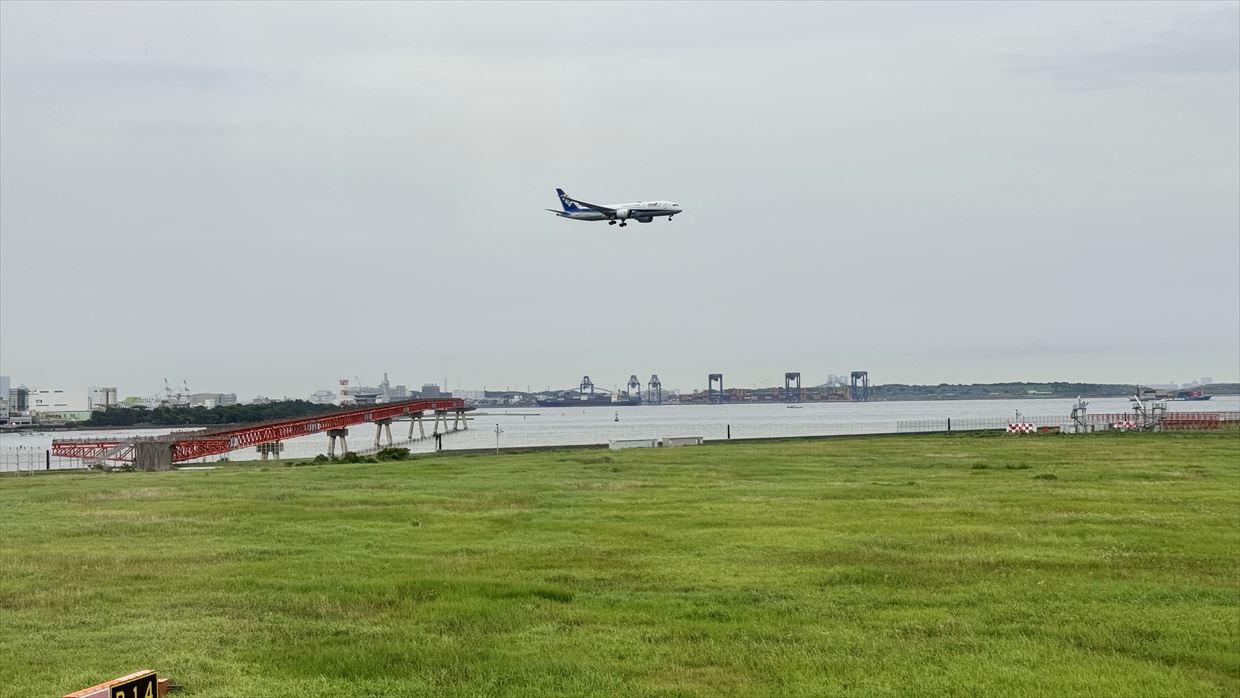 【フライトレポ】夕暮れ時の羽田～那覇航路 A350-900型機 JUL24