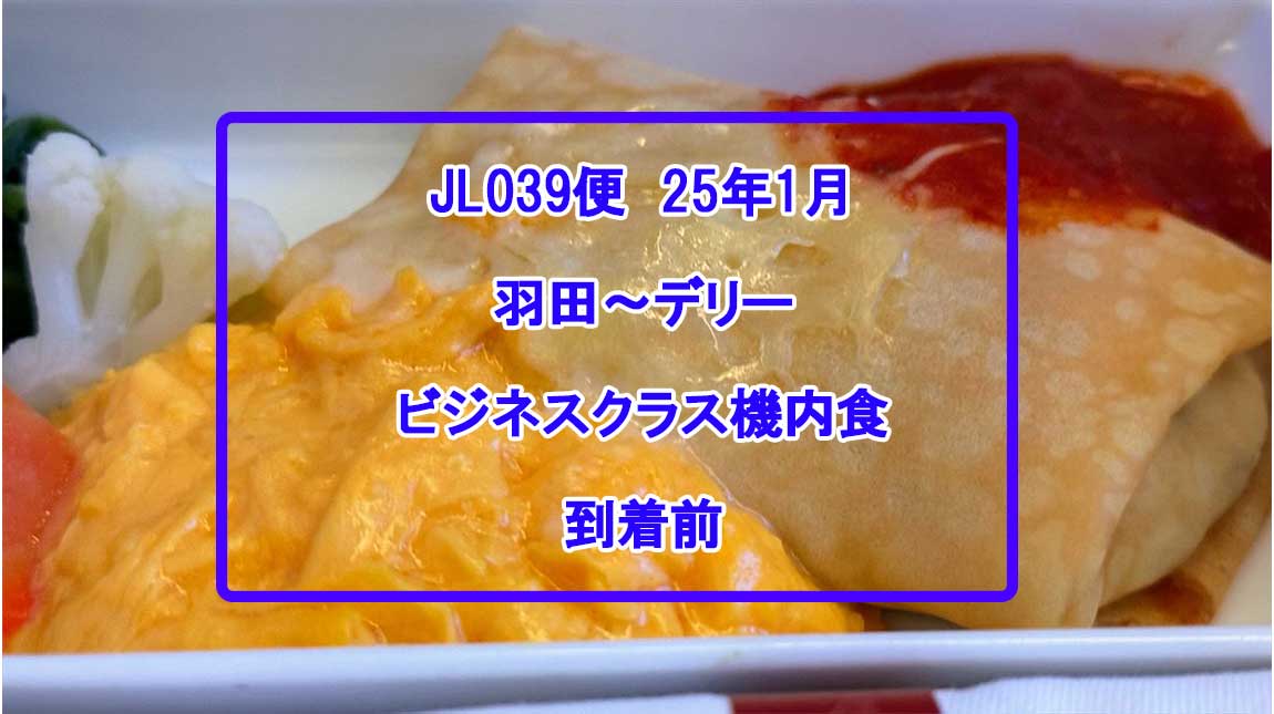 【機内食レポ】羽田~デリー JAL39便 ビジネスクラス 25年01月 ※到着前の軽食