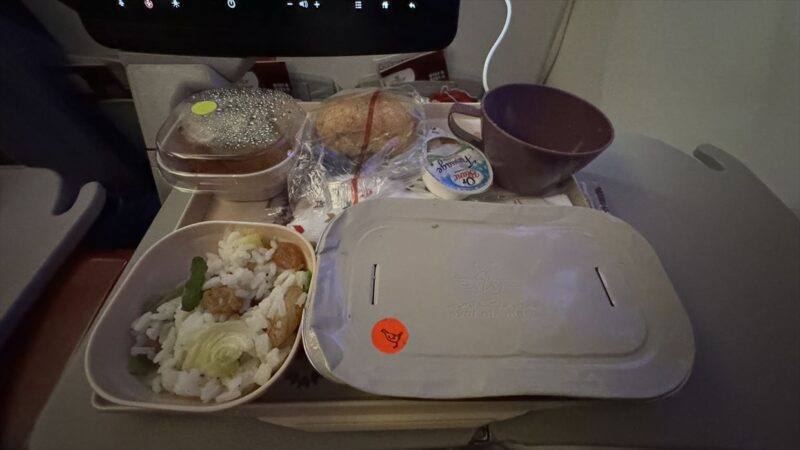 【機内食レポ】カサブランカ~ドーハ AT216便 エコノミークラス 24年11月05日