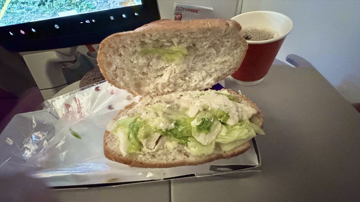 【機内食レポ】カサブランカ~ドーハ AT216便 エコノミークラス 24年11月05日