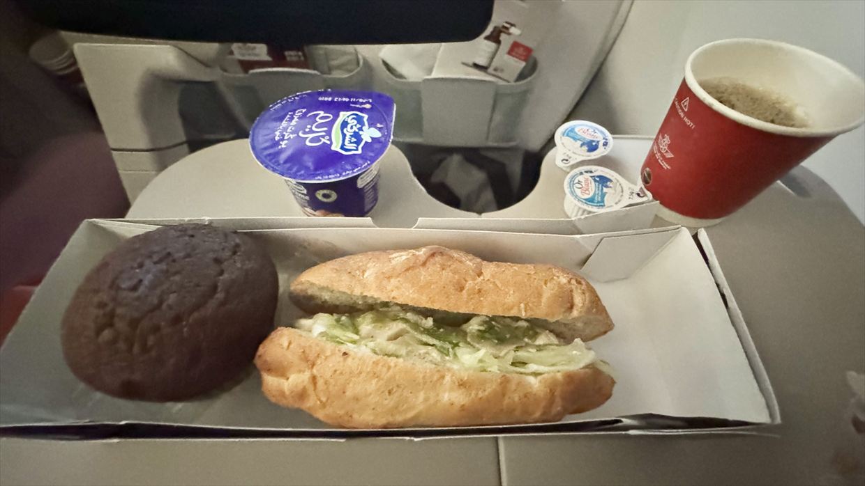 【機内食レポ】カサブランカ~ドーハ AT216便 エコノミークラス 24年11月05日