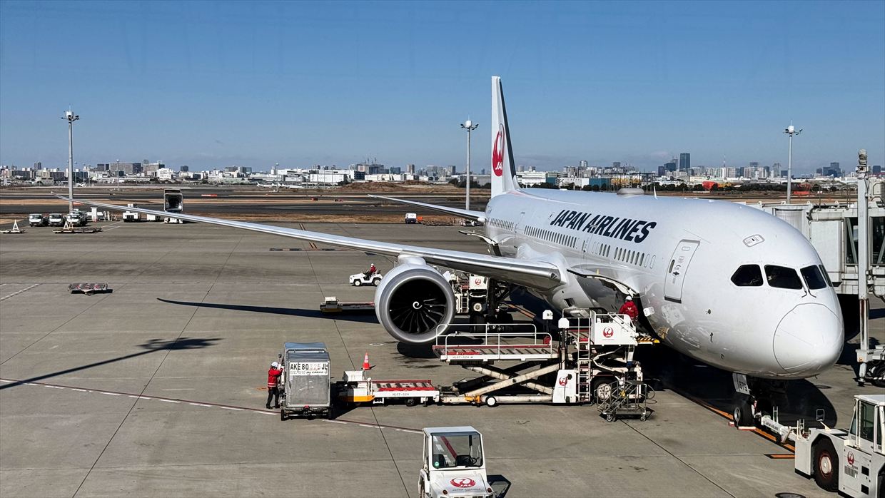 【フライトの様子】JAL39 羽田～デリー 01Jan25