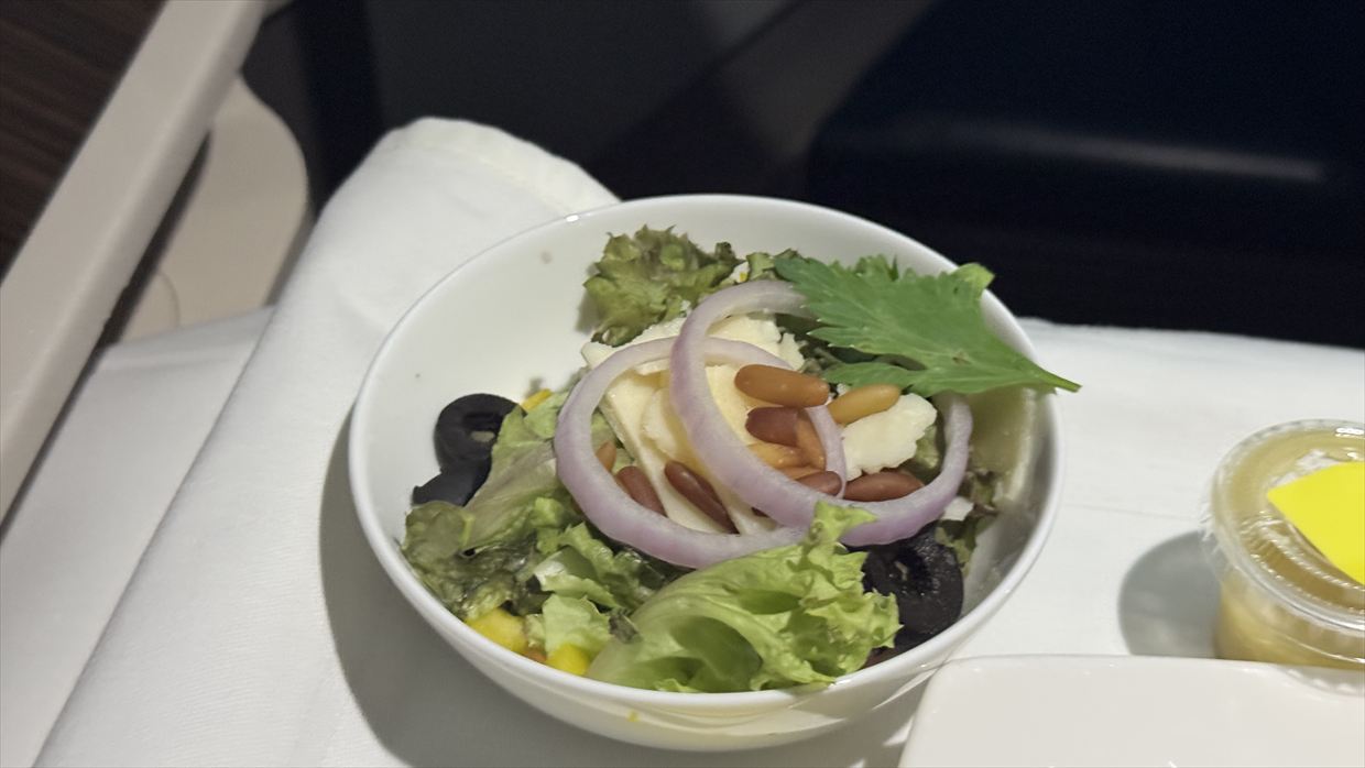 コロンボ～フランクフルト　スリランカ航空 ビジネスクラス 24年07月