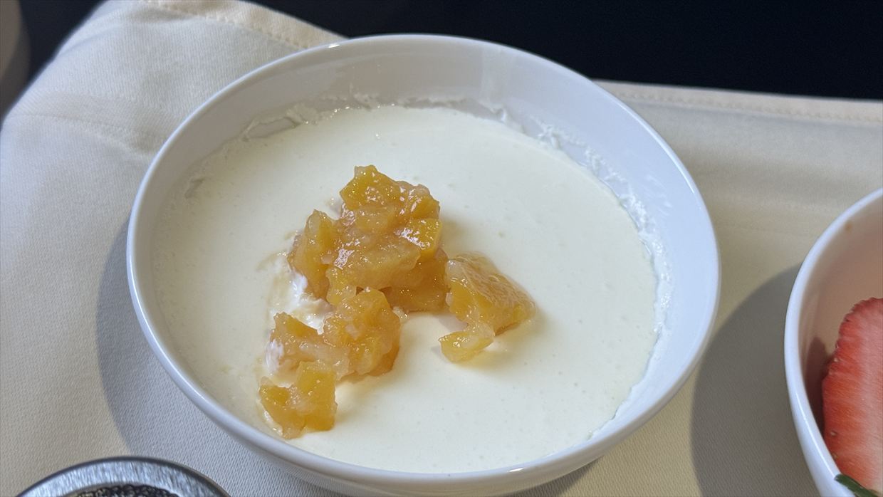 コロンボ~フランクフルト スリランカ航空 ビジネスクラス 24年07月