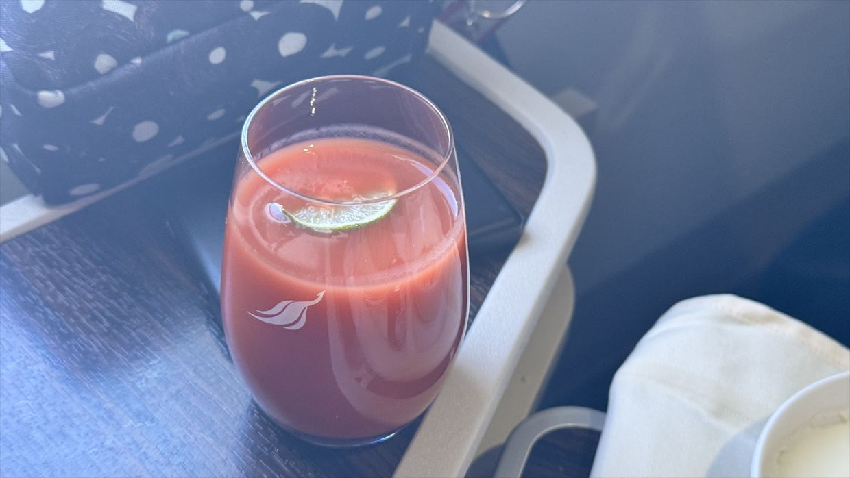 コロンボ~フランクフルト スリランカ航空 ビジネスクラス 24年07月