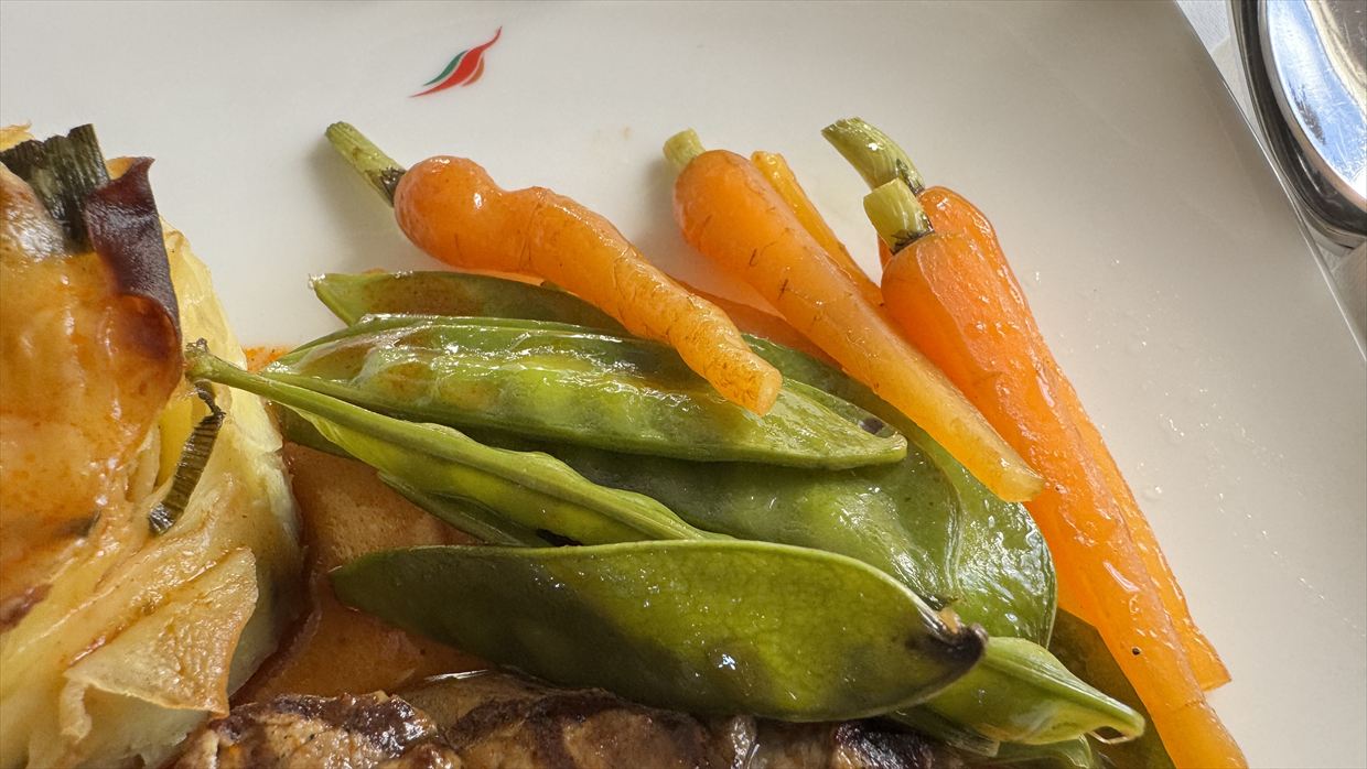 フランクフルト～コロンボ　スリランカ航空 ビジネスクラス 24年07月