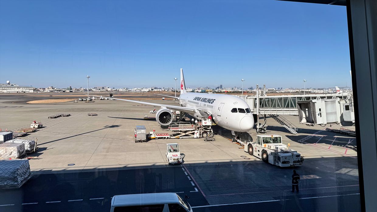 【フライトの様子】JAL39 羽田～デリー 01Jan25