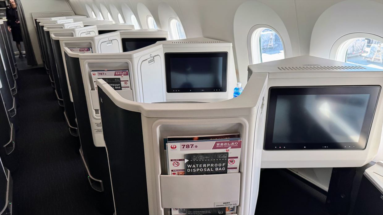 【フライトの様子】JAL39 羽田～デリー 01Jan25