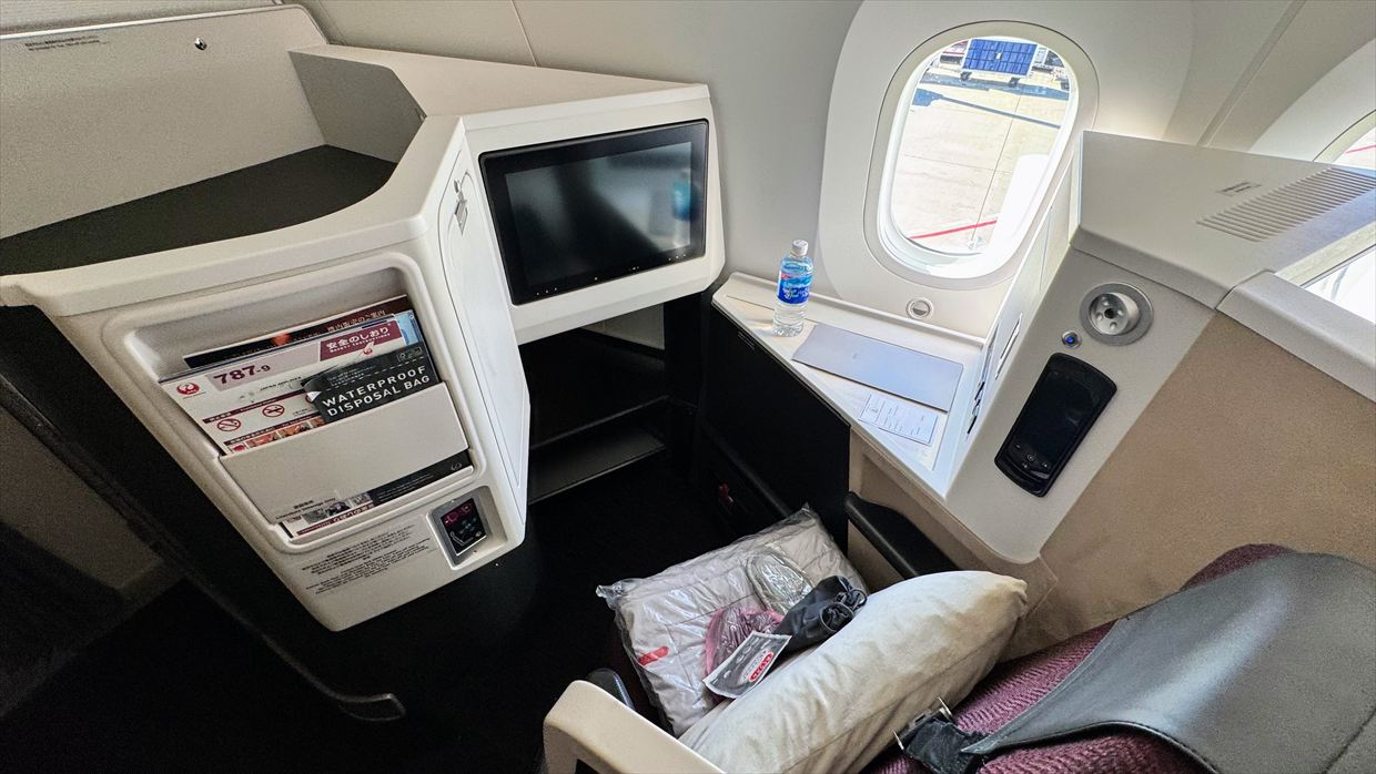 【フライトの様子】JAL39 羽田～デリー 01Jan25