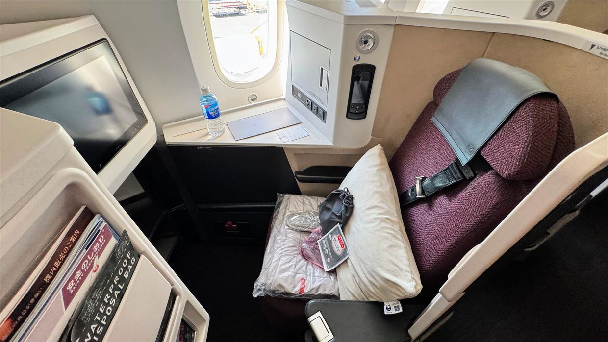 【フライトの様子】JAL39 羽田～デリー 01Jan25