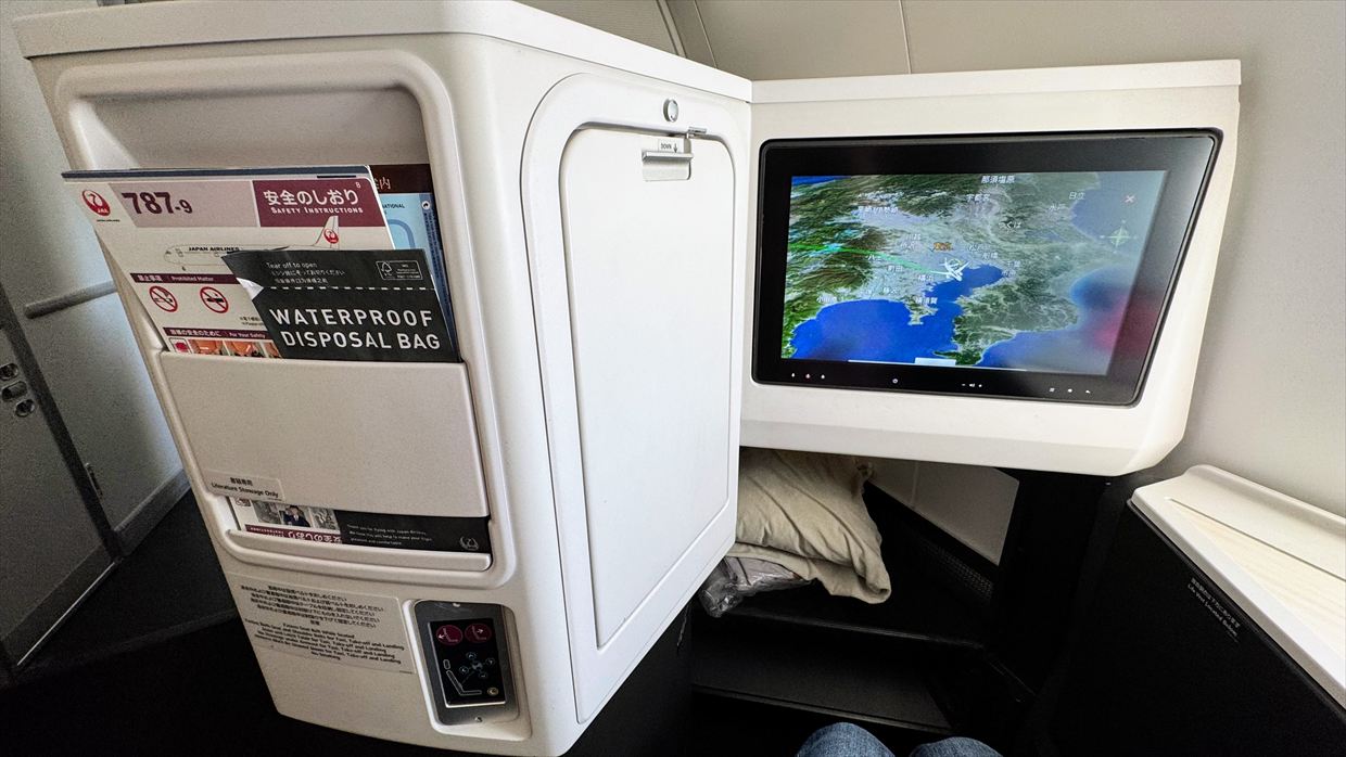 【フライトの様子】JAL39 羽田～デリー 01Jan25