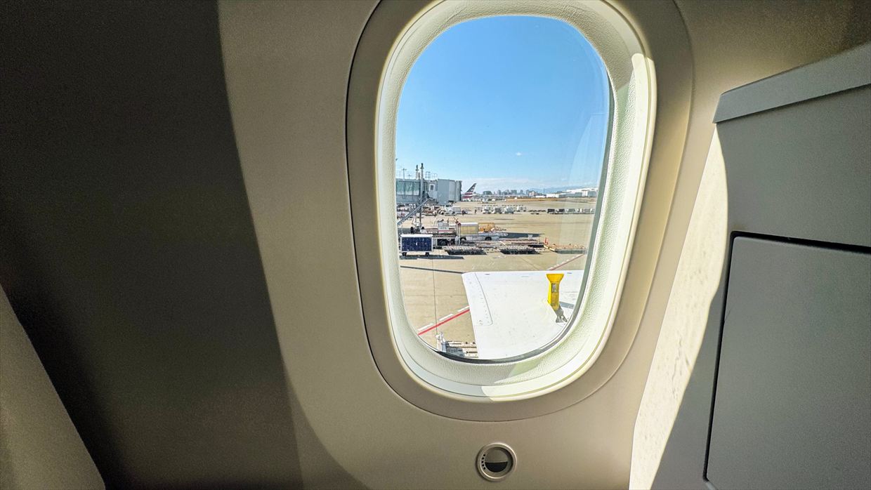 【フライトの様子】JAL39 羽田～デリー 01Jan25