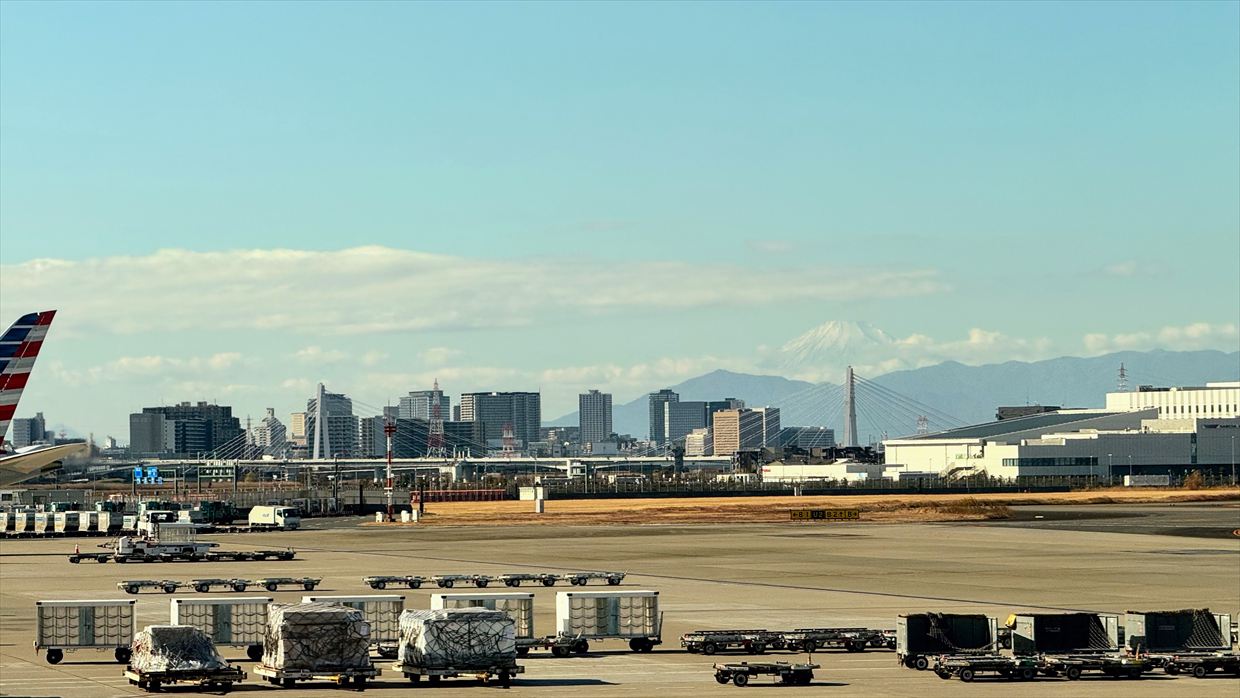 【フライトの様子】JAL39 羽田～デリー 01Jan25