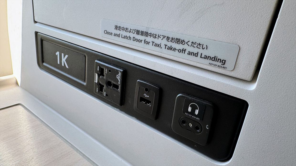 【フライトの様子】JAL39 羽田～デリー 01Jan25