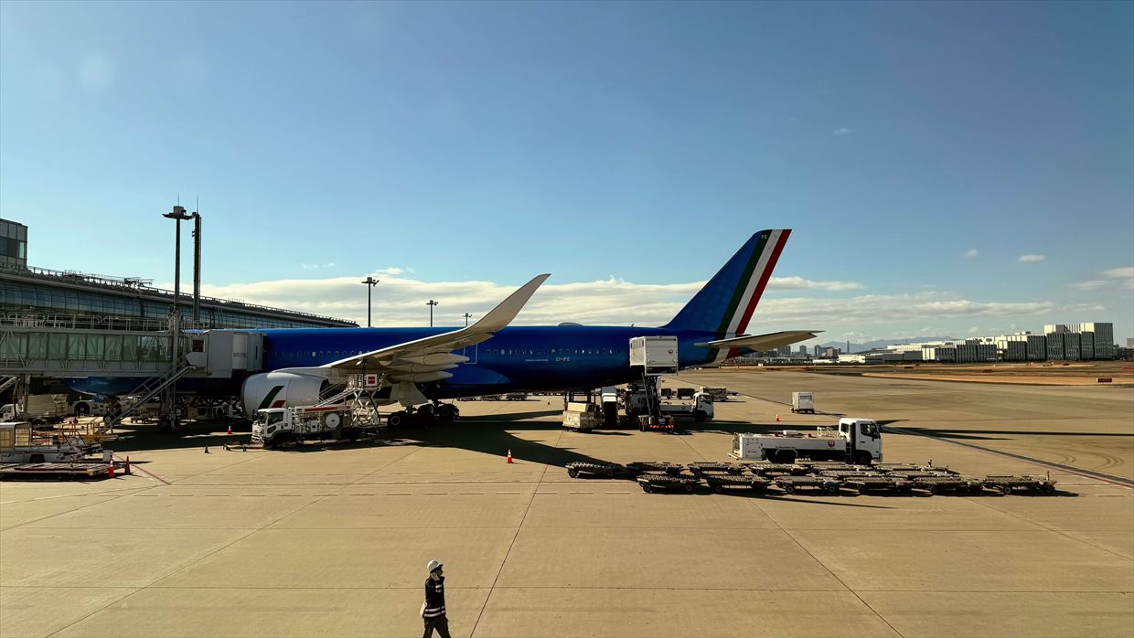 【フライトの様子】JAL39 羽田～デリー 01Jan25