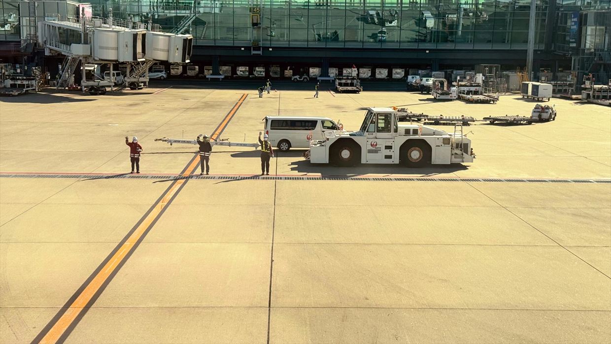 【フライトの様子】JAL39 羽田～デリー 01Jan25