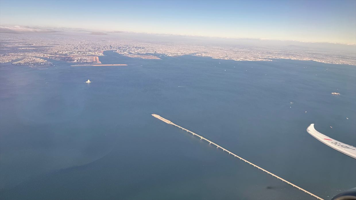 【フライトの様子】JAL39 羽田～デリー 01Jan25