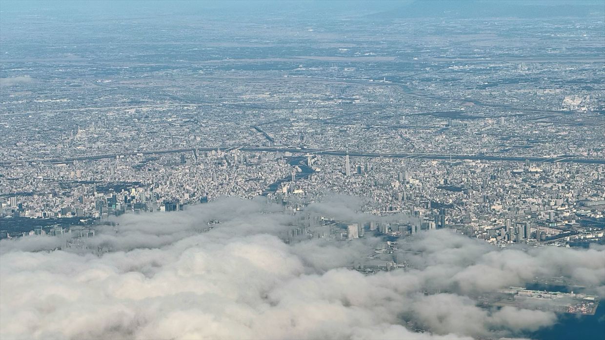 【フライトの様子】JAL39 羽田～デリー 01Jan25