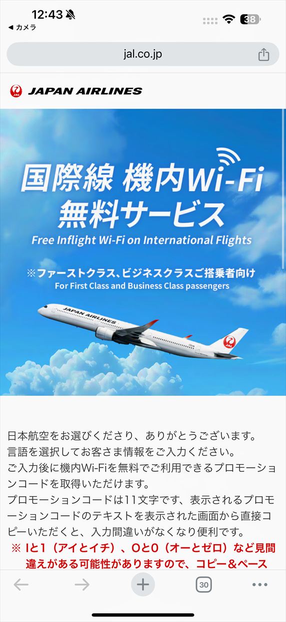 【フライトの様子】JAL39 羽田～デリー 01Jan25