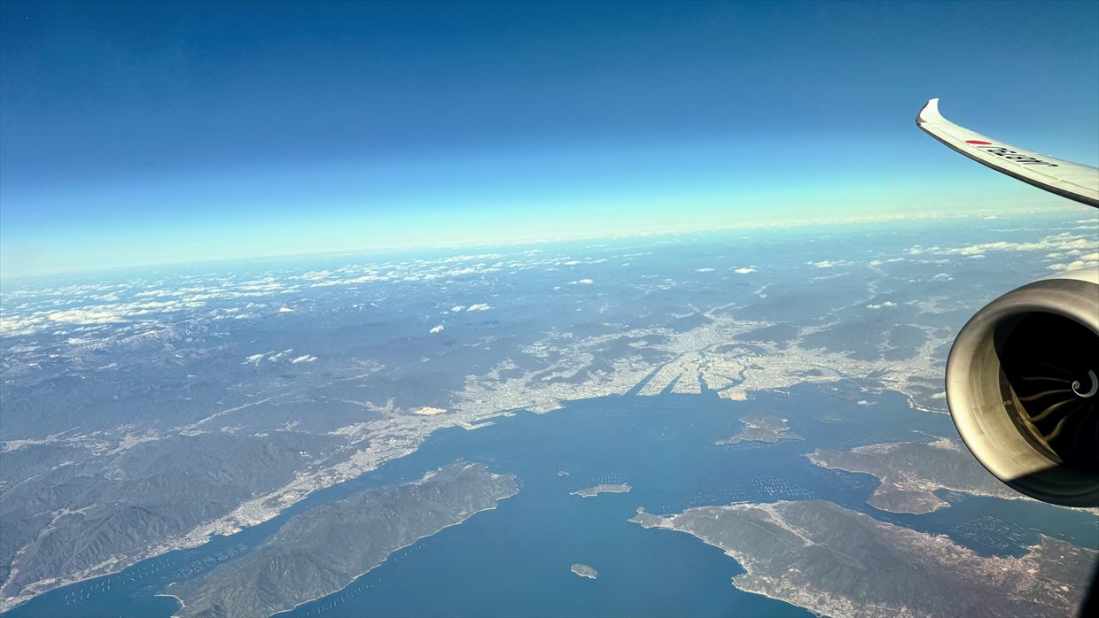 【フライトの様子】JAL39 羽田～デリー 01Jan25