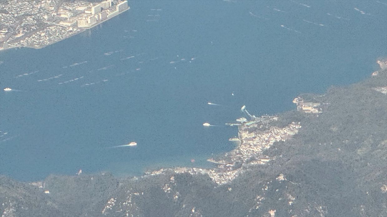 【フライトの様子】JAL39 羽田～デリー 01Jan25