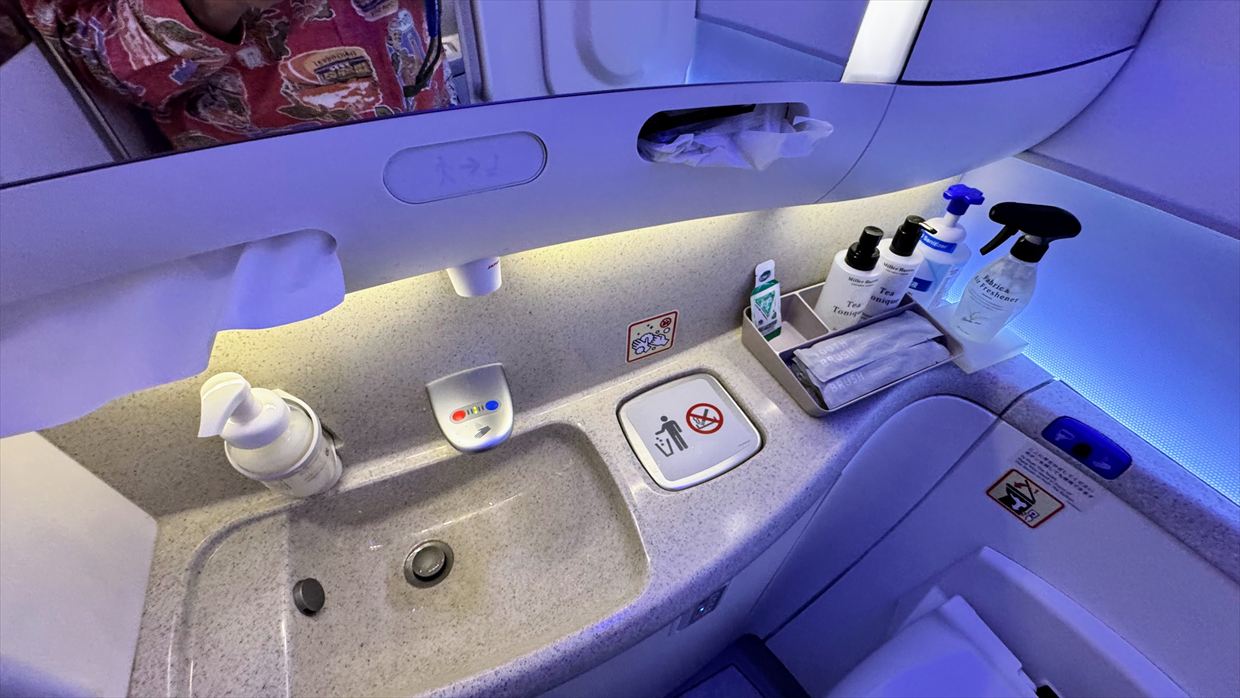 【フライトの様子】JAL39 羽田～デリー 01Jan25