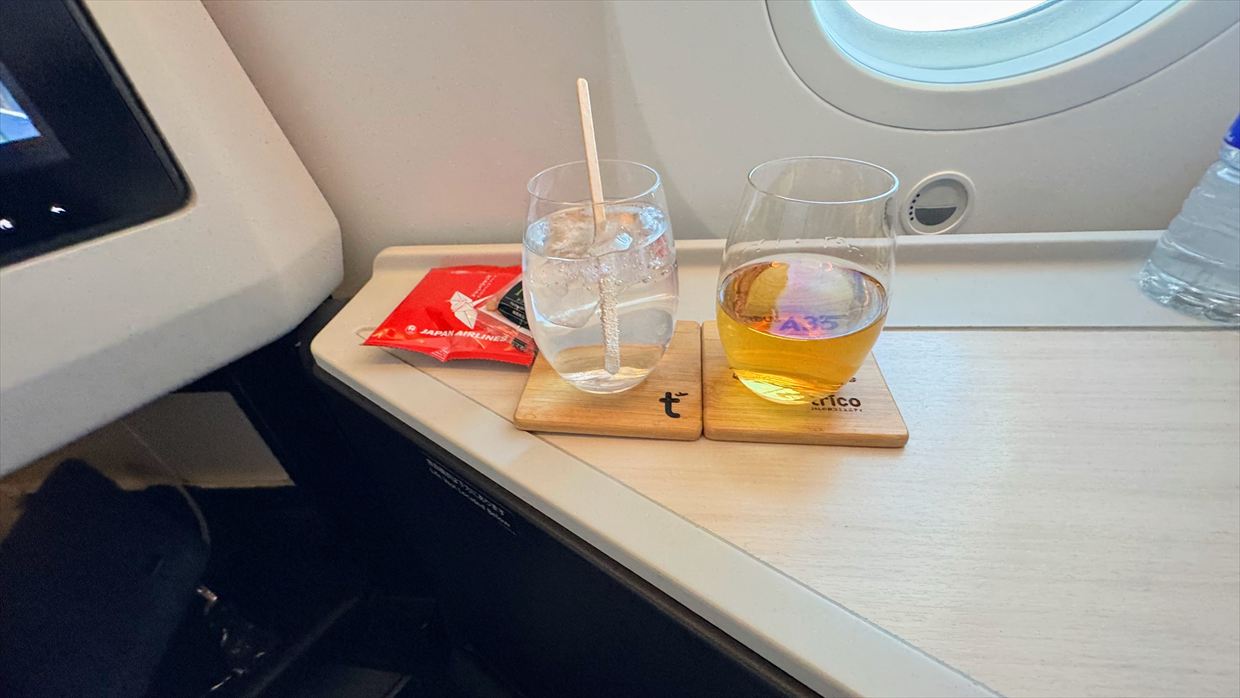 【機内食レポ】羽田~デリー JAL39便 ビジネスクラス 25年01月 ※到着前の軽食