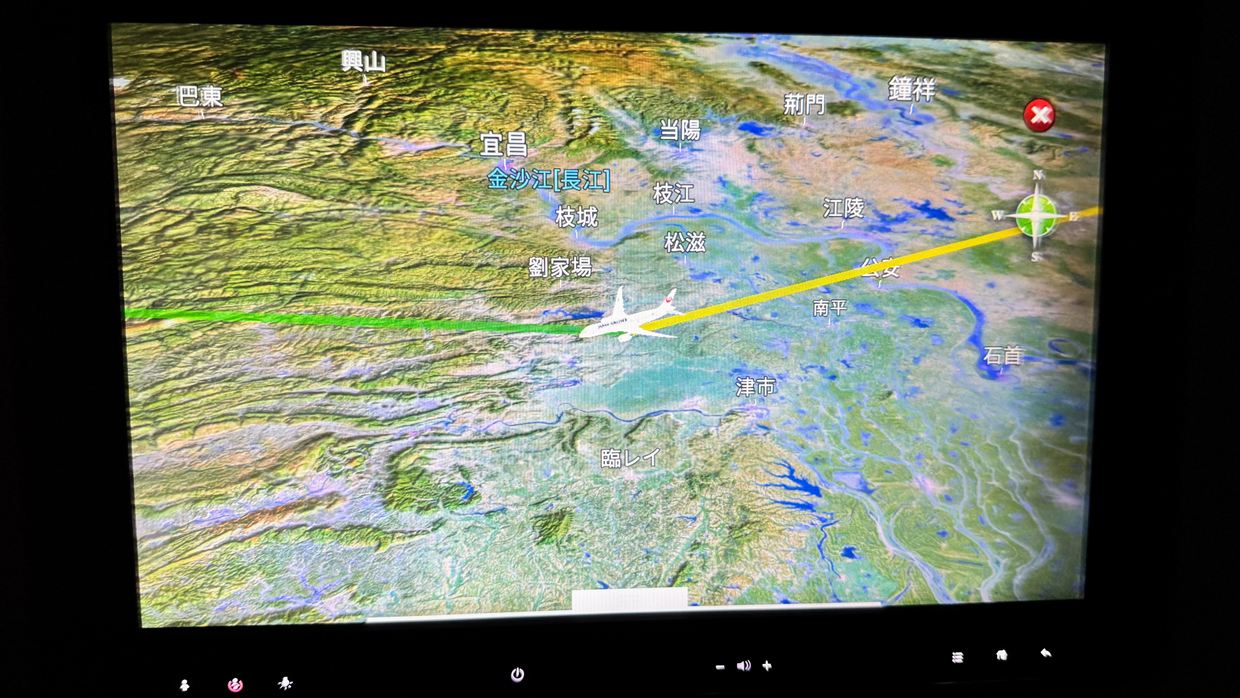 【フライトの様子】JAL39 羽田～デリー 01Jan25