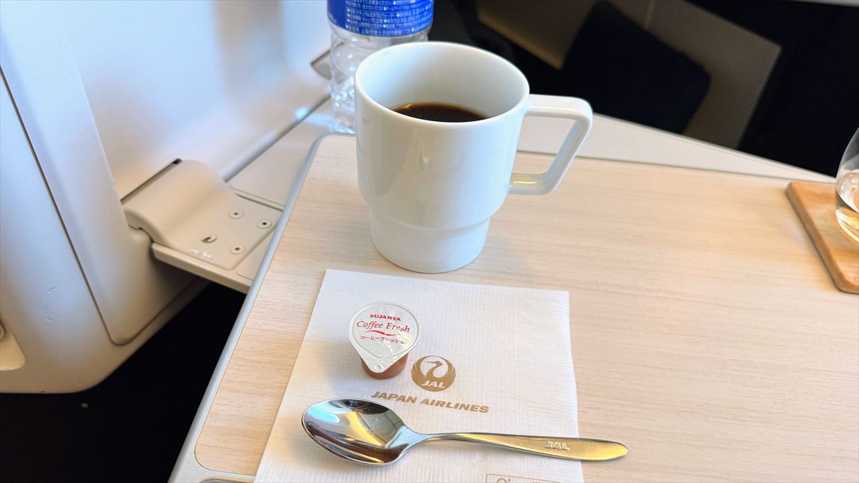 【機内食レポ】羽田~デリー JAL39便 ビジネスクラス 25年01月 ※到着前の軽食