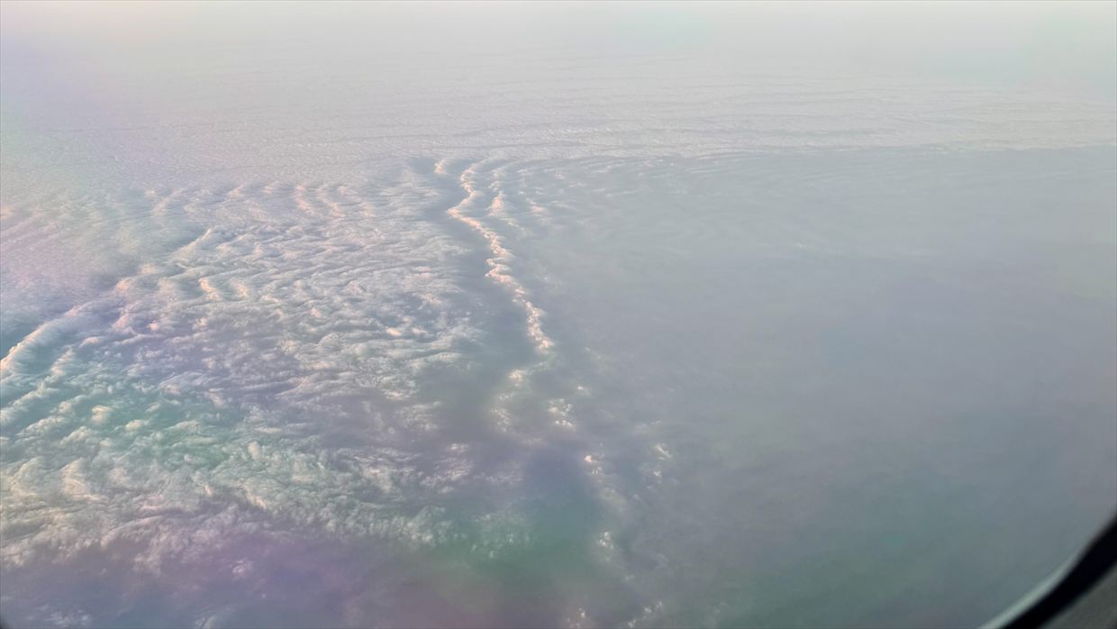 【フライトの様子】JAL39 羽田～デリー 01Jan25