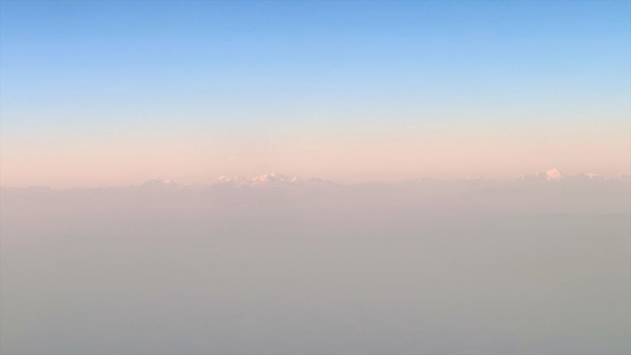 【フライトの様子】JAL39 羽田～デリー 01Jan25