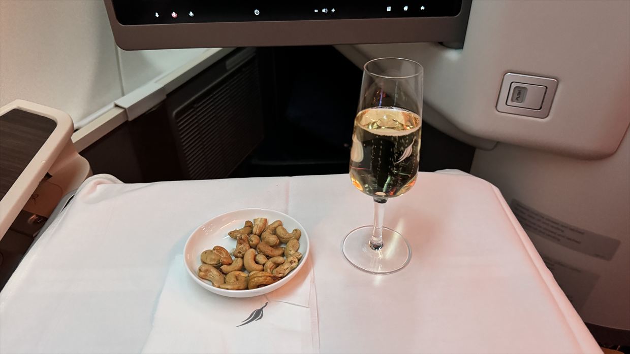 コロンボ～成田　スリランカ航空 ビジネスクラス 24年07月