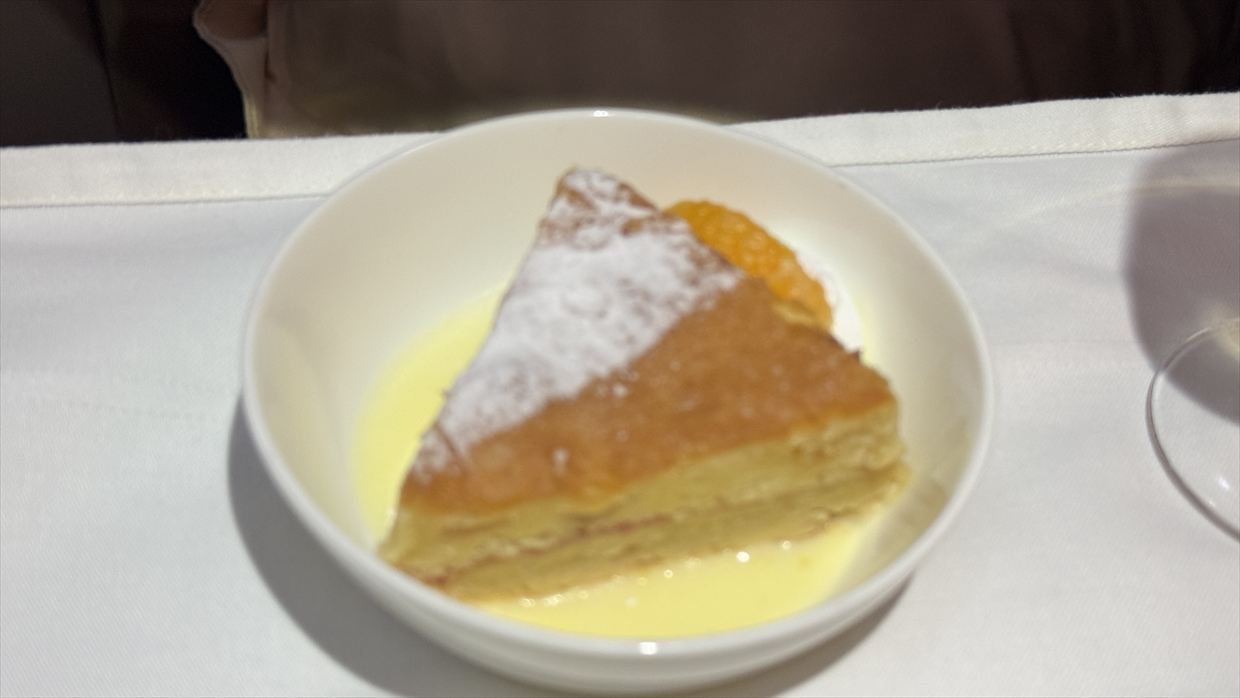 コロンボ～成田　スリランカ航空 ビジネスクラス 24年07月