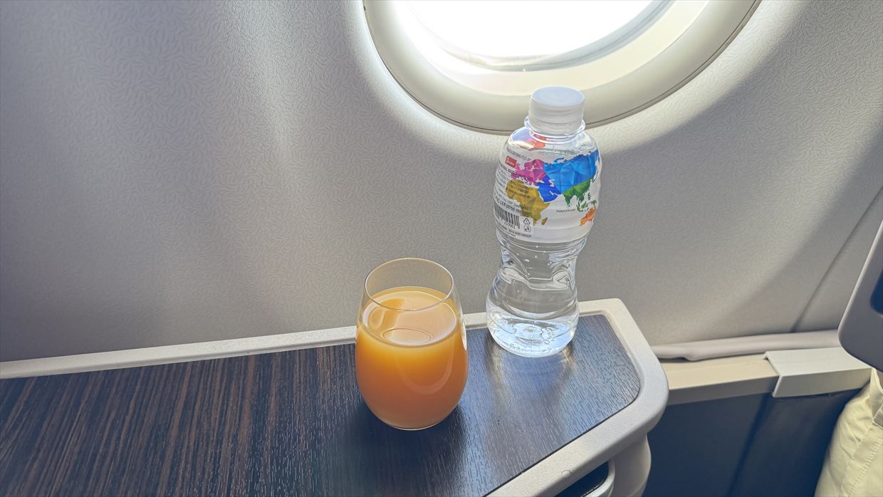 コロンボ~成田 スリランカ航空 ビジネスクラス 24年07月