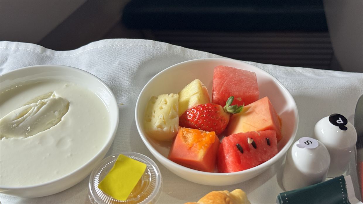 コロンボ~成田 スリランカ航空 ビジネスクラス 24年07月