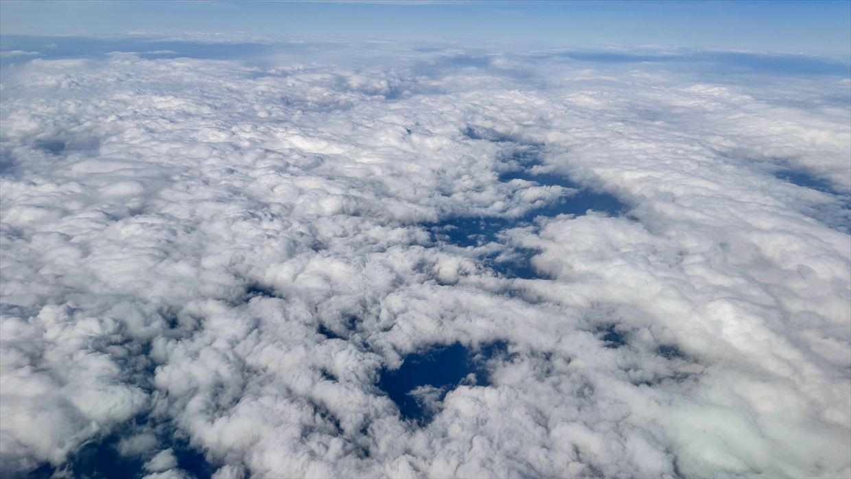 【フライトの様子】JAL117 羽田～伊丹 31Jan25