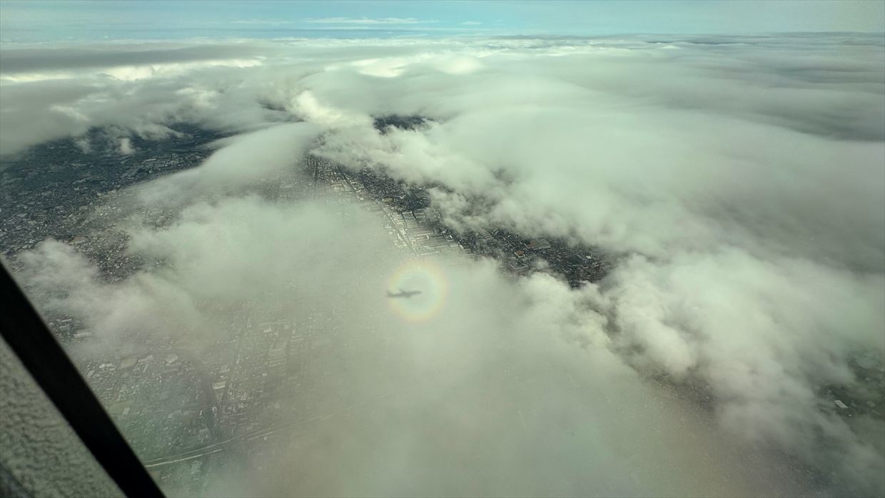 【フライトの様子】JAL116 伊丹～羽田 02Feb25