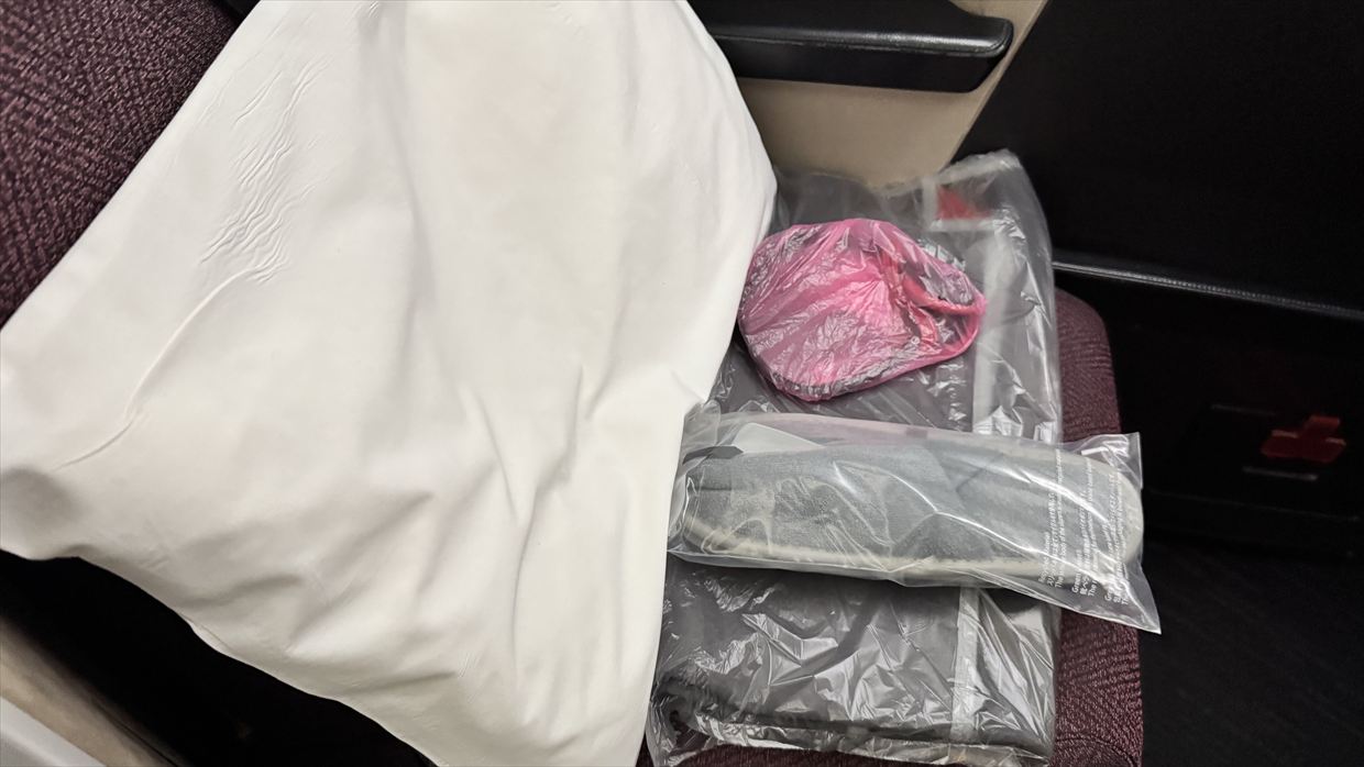 【フライトの様子】JAL95 羽田～金浦 18Feb25　ボーイングB787-900型機