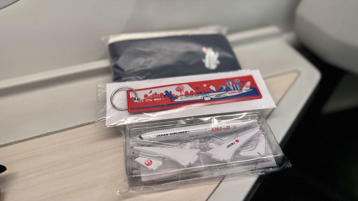 【フライトの様子】JAL95 羽田～金浦 18Feb25　ボーイングB787-900型機