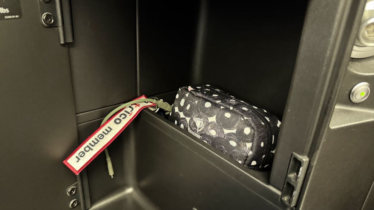 【フライトの様子】JAL94 金浦～羽田 19Feb25　ボーイングB767-300ER型機