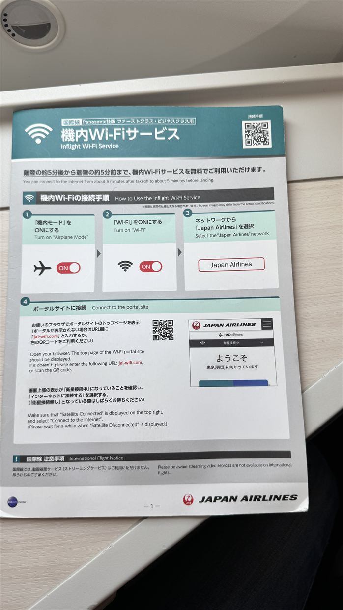 【フライトの様子】SKY SUITYEⅢ ビジネスクラス JAL39 羽田～デリー May25 B787-900型機