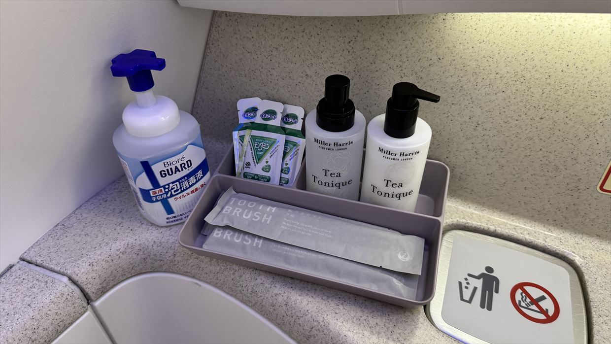 【フライトの様子】SKY SUITYEⅢ ビジネスクラス JAL39 羽田～デリー May25 B787-900型機